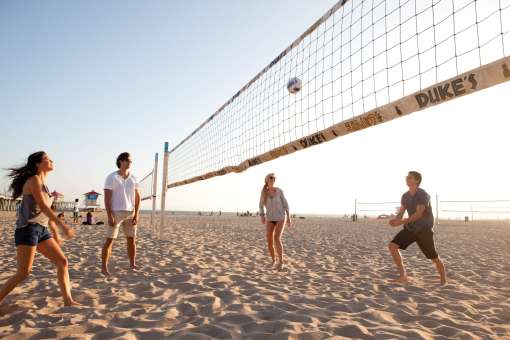 Volleyball