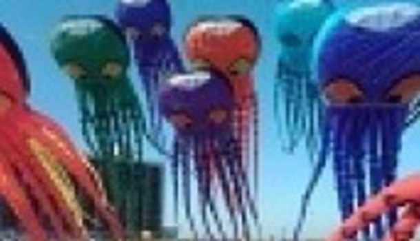Kite Festival