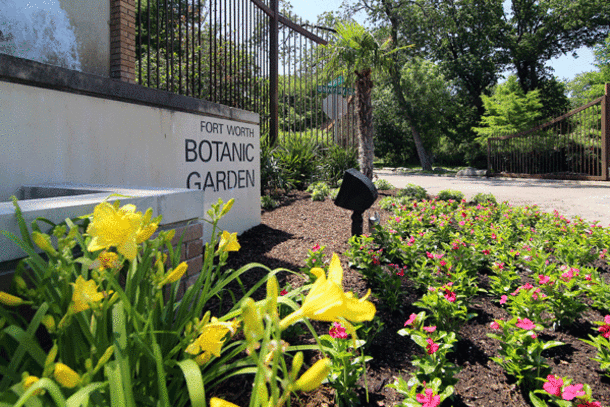 Fort Worth's Concerts in the Garden