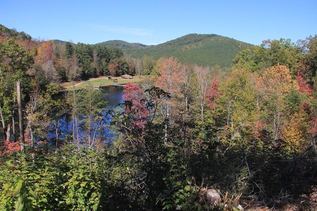 Fall Color in Golden Valley