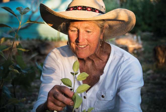 Jamie Tate inspects a grafted apple tree at her Isle of Sky Nursery.