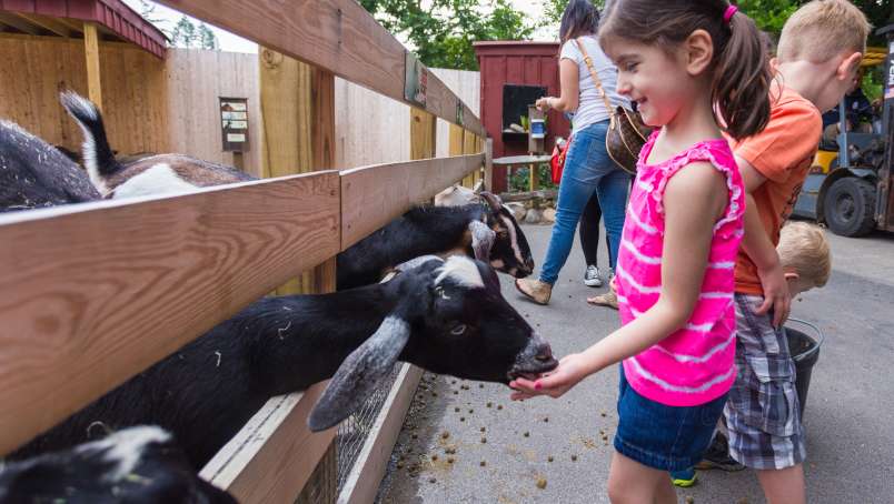 RWPZoo-Providence