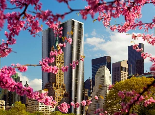 Spring and Summer in New York | New York Seasons | New York Weather