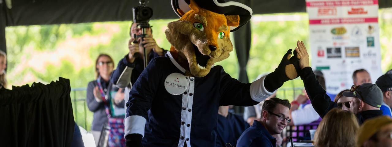 Monty the Fox Travel Rally Day 2017