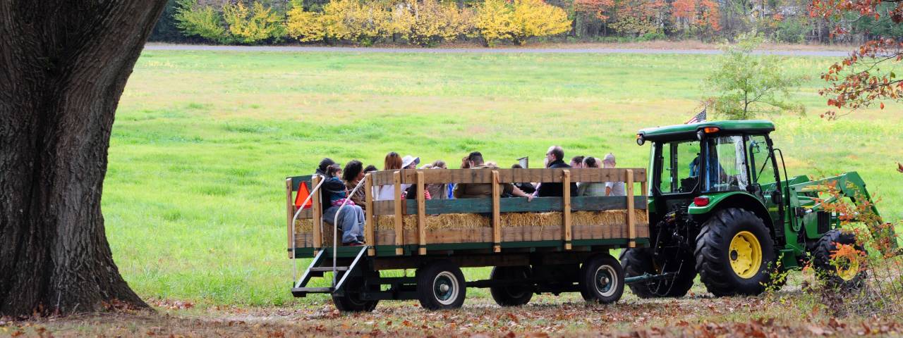 Pennypacker Mills All Hallow's Eve Fall Festival