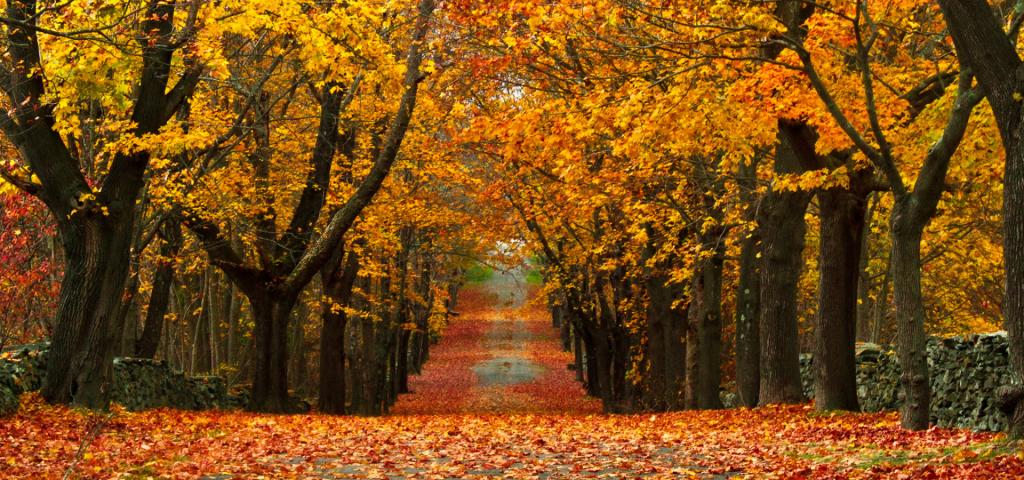 Conde Nast Traveler Names Newport Among 10 Secret Fall Foliage Getaways