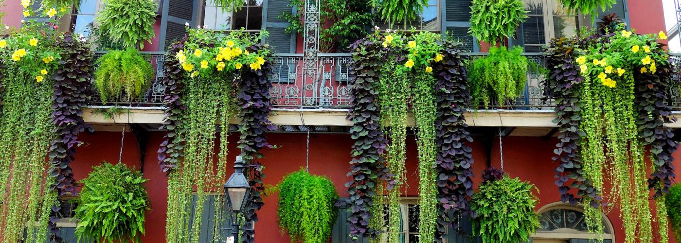 French Quarter Neighborhoods | New Orleans