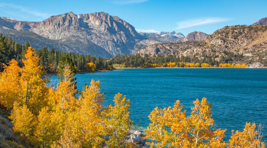 mono county tourism fall colors