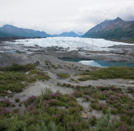 MatSu Valley Alaska Visitor Information MatSu CVB