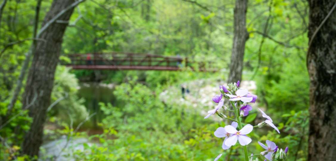 Things to Do in Lehigh Valley | Find Attractions, Parks ...