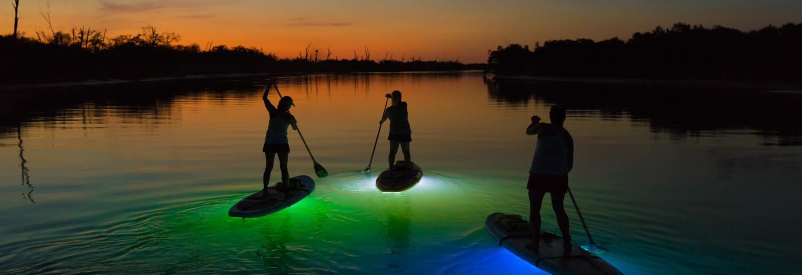 Things To Do In Englewood Beach Amp Punta Gorda Florida