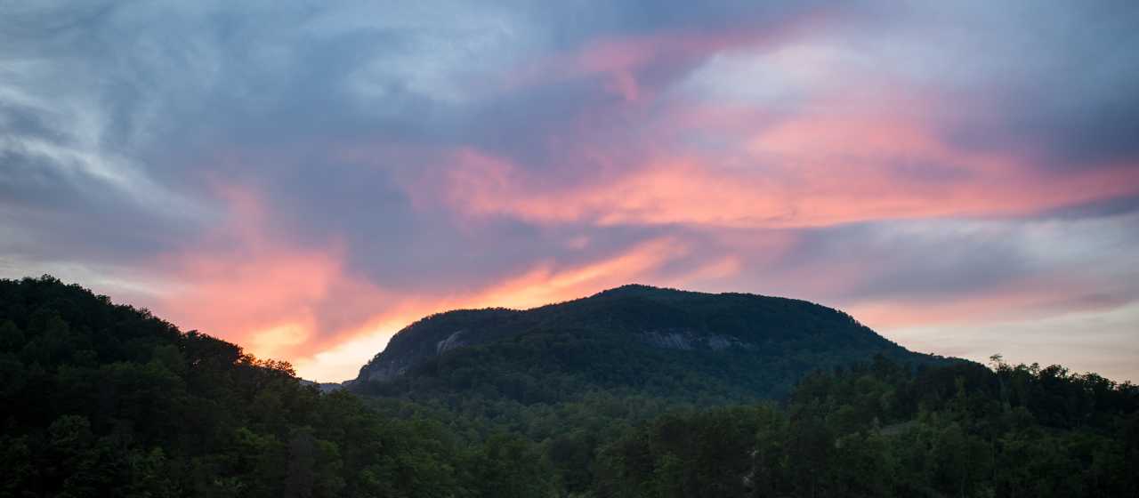 Visitors Guide}