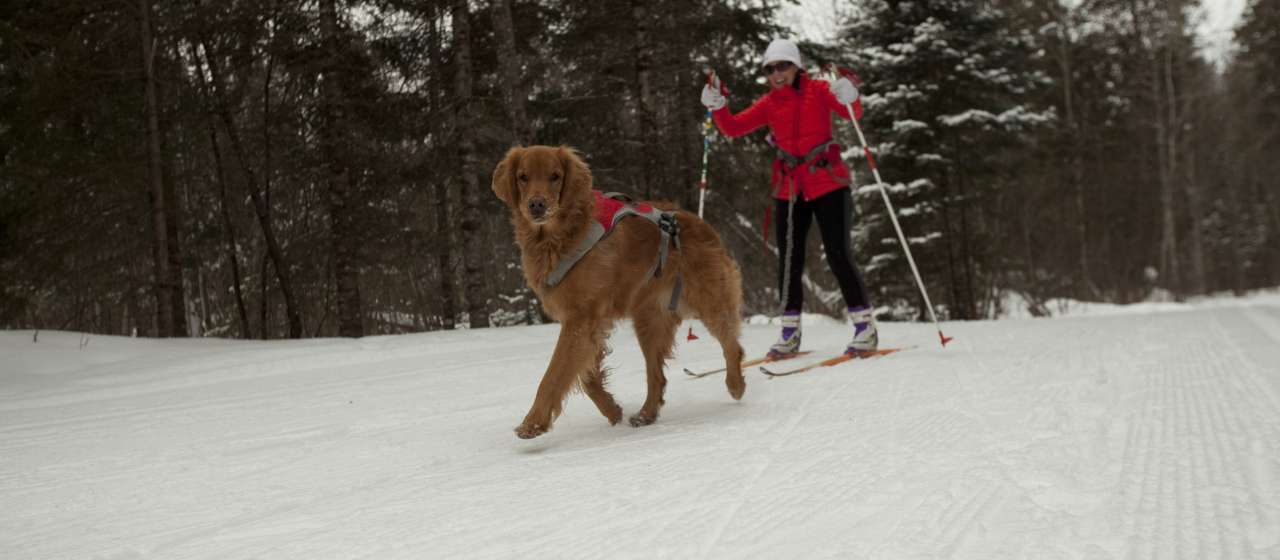 Winter Things to Do in Minocqua Northwoods Winter Activities