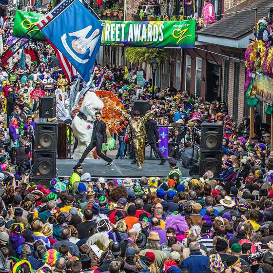 freeshemale big tits gay gras mardi new orleans