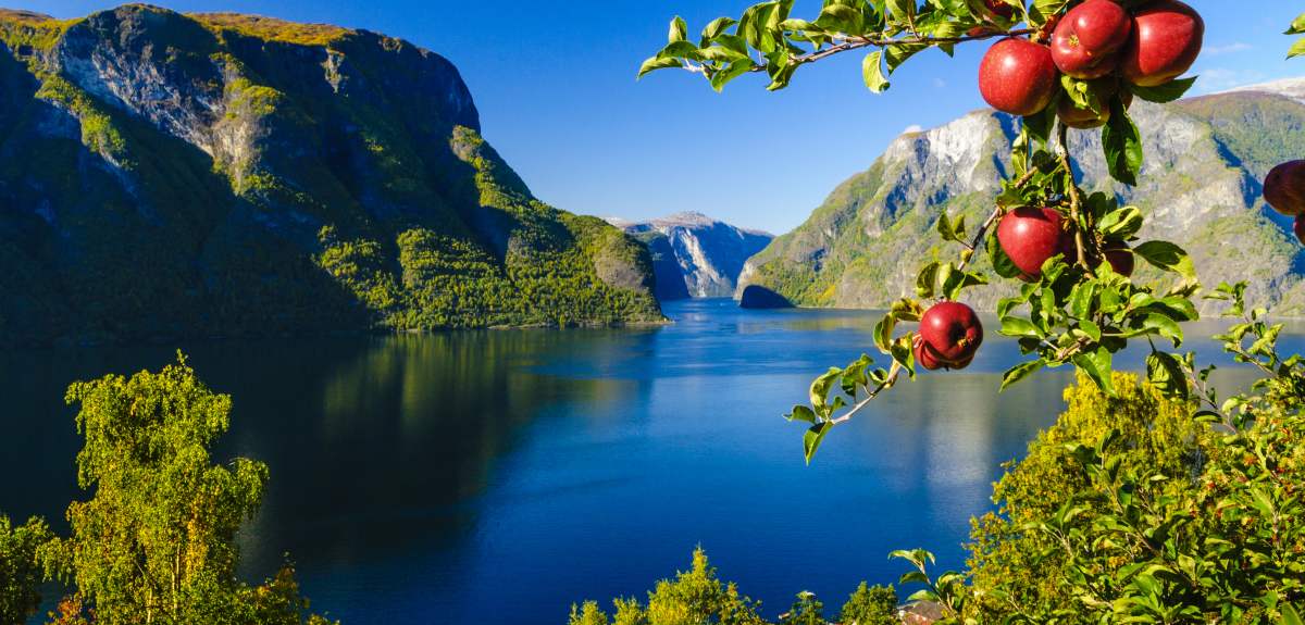 The Around the World Thread 1131_Aurlandsfjorden_host_Robin_Strand_Norphoto_AS_311406d3-aed8-40af-ae3e-d7c1fb4efa2a