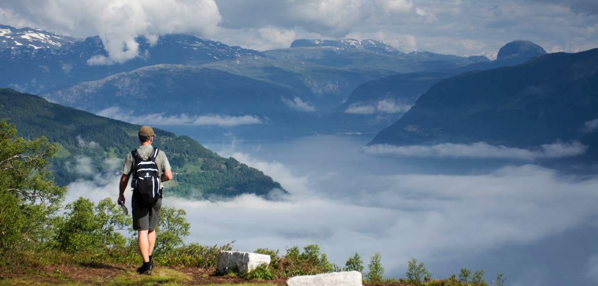 Can I Walk A Dog On The Cloud Trail Can I Walk A Dog On The Cloud Trail