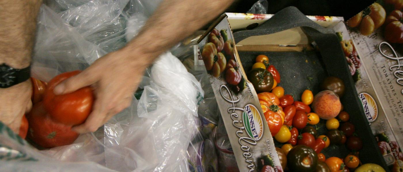 City Harvest_Javits_NYC_Joe Buglewicz