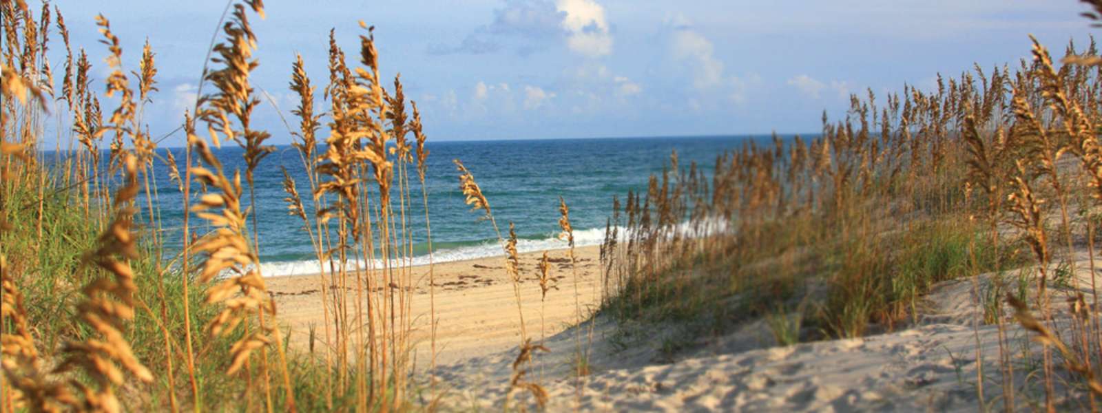 Handicap Accessibility The Outer Banks Nc Beach Wheelchairs Handicap Accessibility The Outer Banks Nc Beach Wheelchairs North Carolina