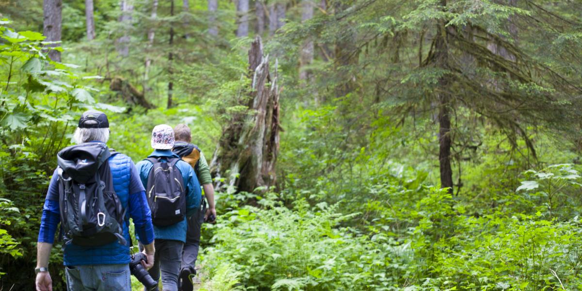 Hiking Pack Creek