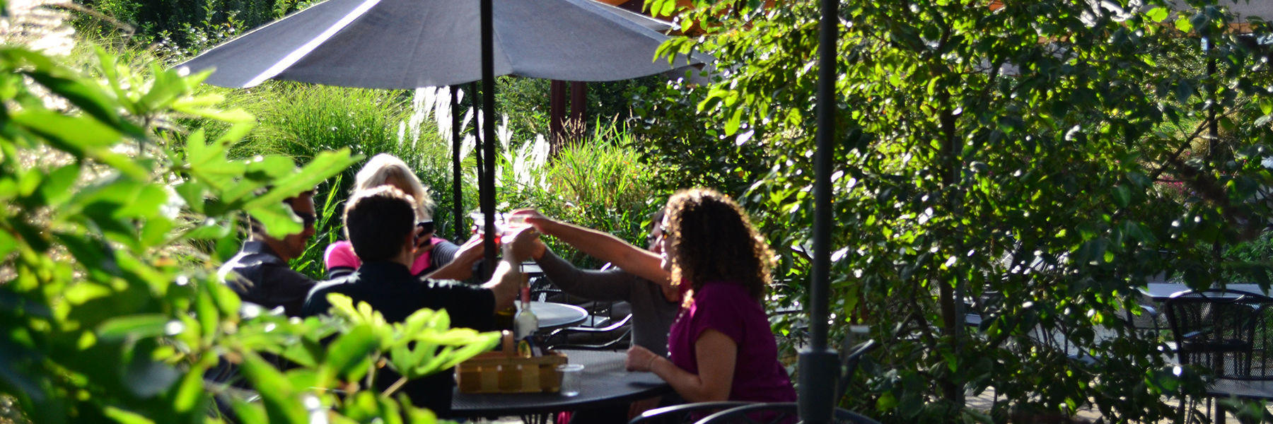 Wine Tours & Tastings