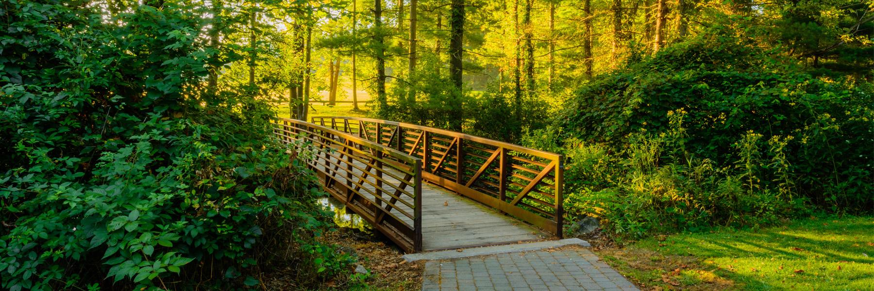Local Parks | Laurel Highlands