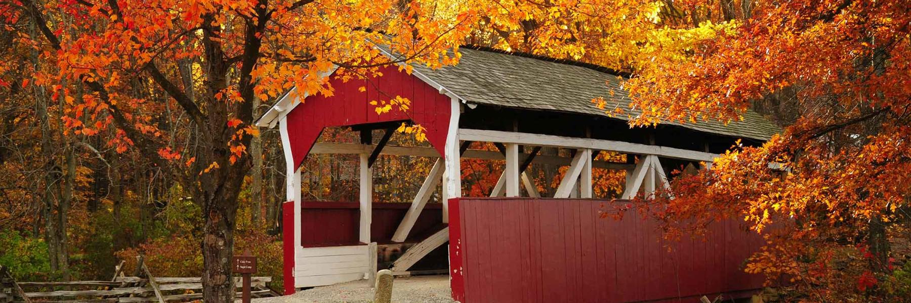Experience Fall