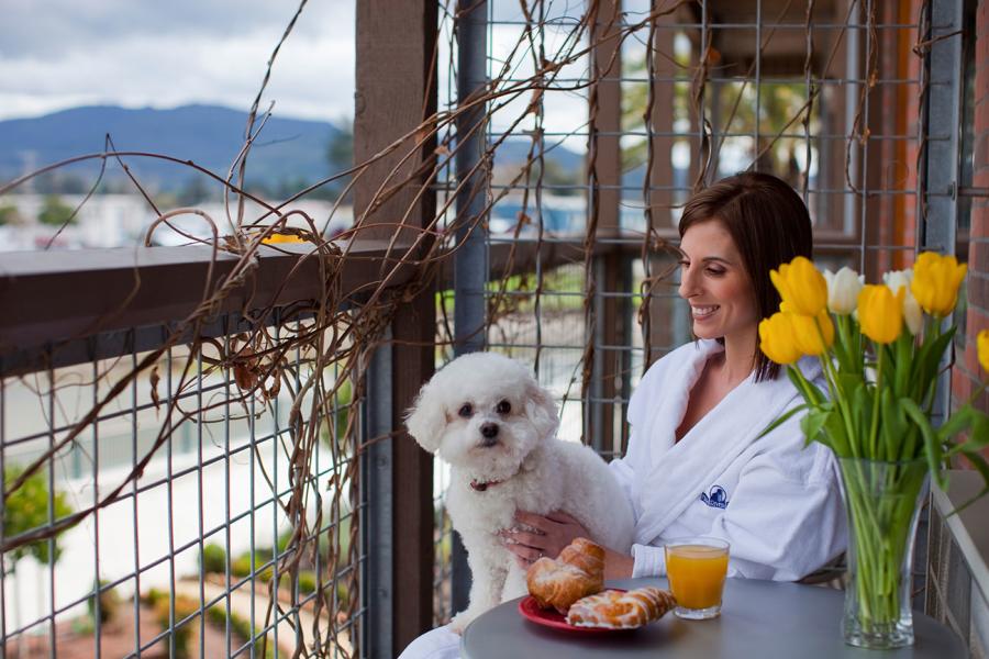 Top Pet Friendly Napa Valley Hotels Getaway With Your Pooch The Planning A Napa Valley Getaway But Don T Want To Leave Your Pet At Home Alone Or Kennel Worry Has Plenty Of Friendly Hotels