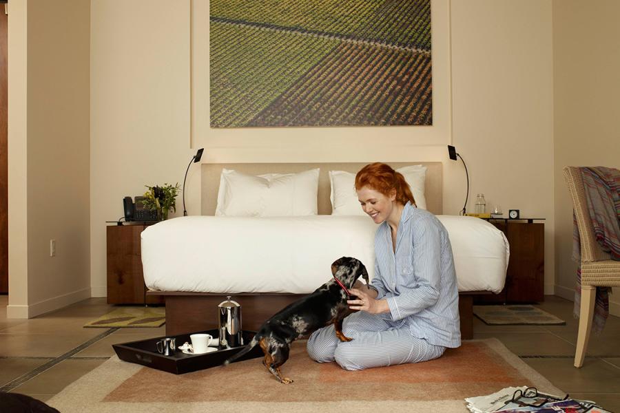 Napa Valley Woofers Pet Friendly Hotels The Visit Blog If Spending A Weekend Or Vacation Without Your Four Footed Friend Is Deal Breaker Take Heart The Napa Valley Filled With Hotels Resorts