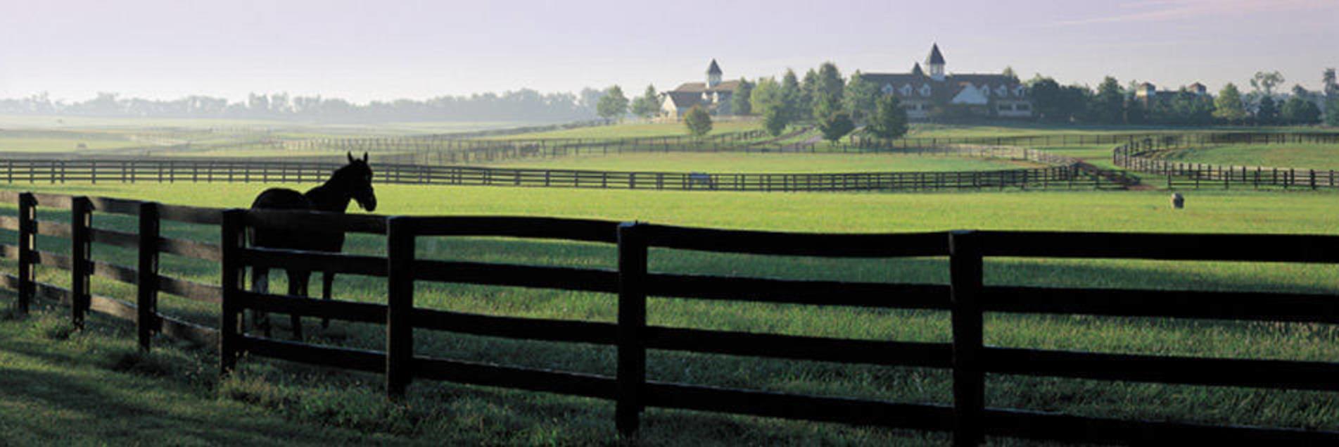 Ideas for your vacation in Lexington, Kentucky.