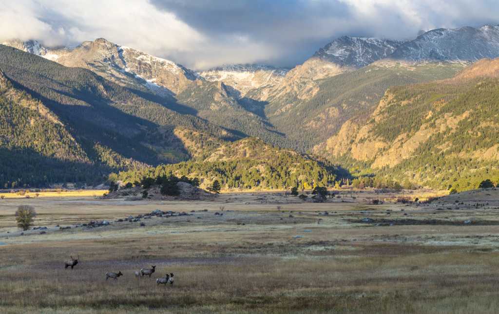 rocky_mountain_national_park_elk_aeac0751 b244 4318 9cfc c2402f8394c6