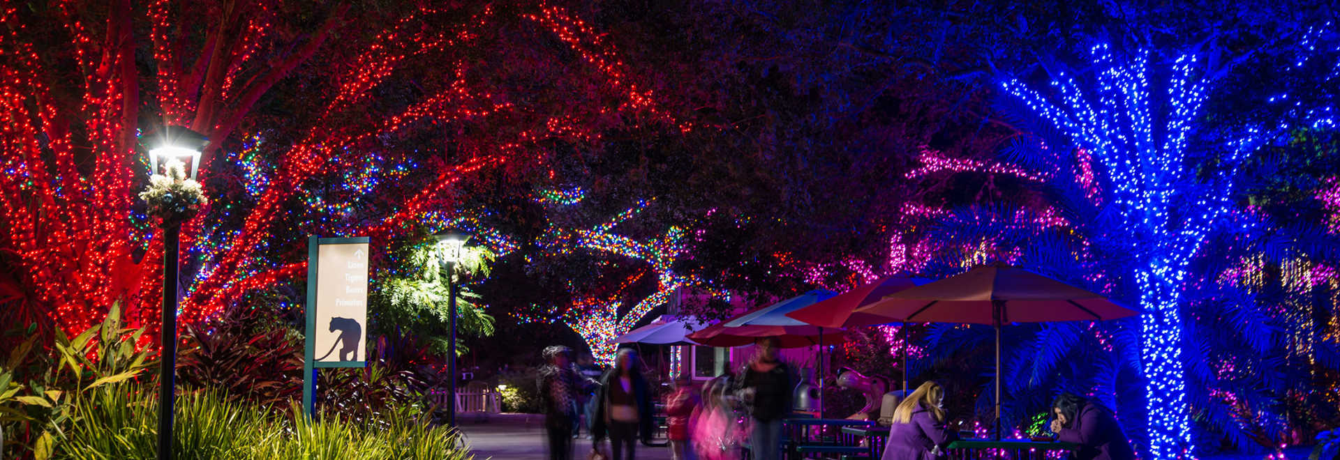 Market Picks HOUSTON FIRE TRUCK RENTALS Fire Truck Rentals In Houston, TX Hire Santa In Houston, TX With A Fire Truck. Houston Fire Truck Rentals for Kids Birhtday Parties, Block Parties, Christmas Parties, Pool Parties, School Events, Pizza parties, Weddings, Parades, & Santa for hire with fire truck.