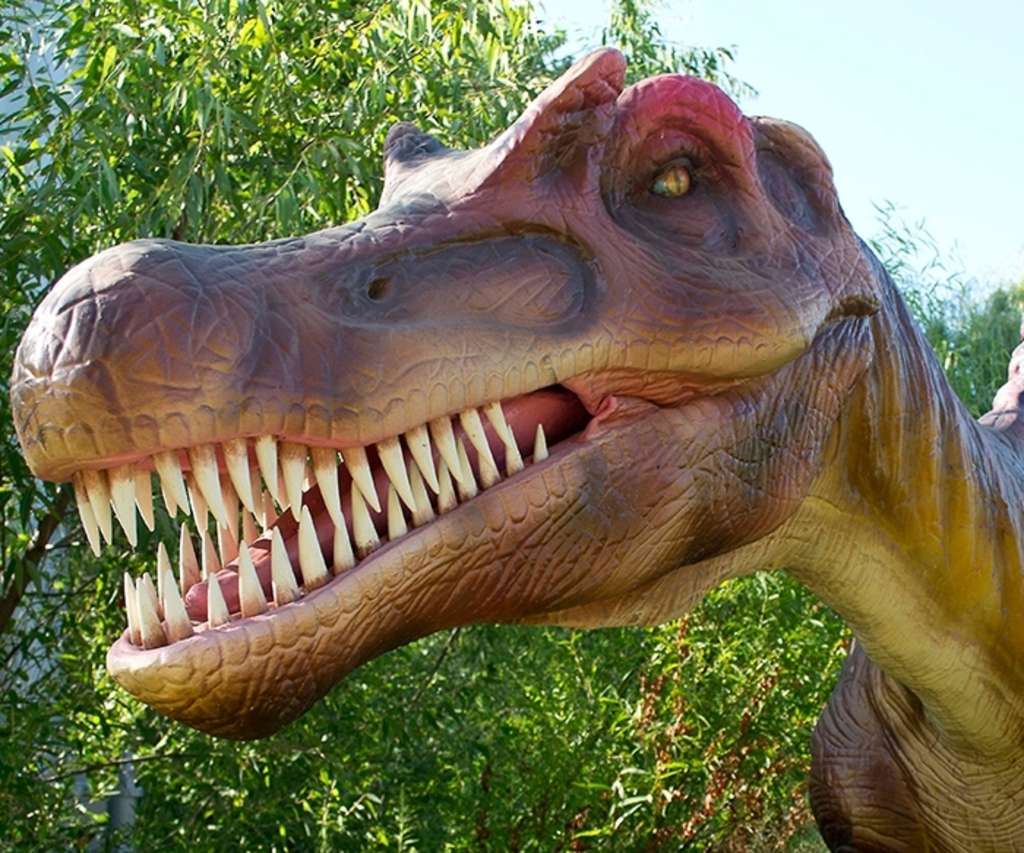 Kings Dominion dinosaur SQUARE