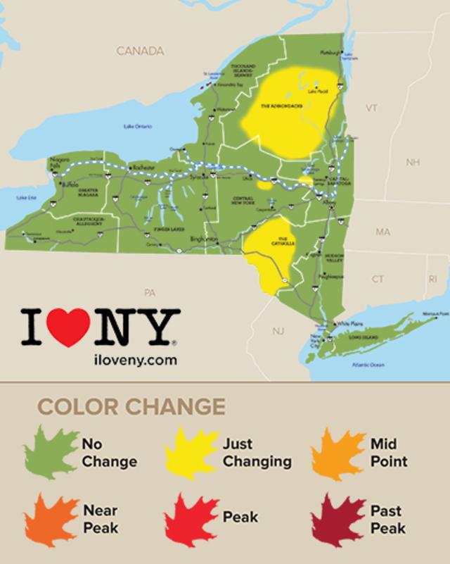 New York Fall Foliage Report The Harlem Valley News