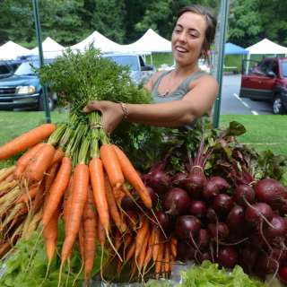 Asheville's Harvest Adventures and Recipes