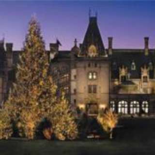 Holiday Events To Get You In the Spirit