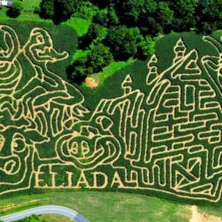 Fall is In the Air, Corn Mazes in Western NC