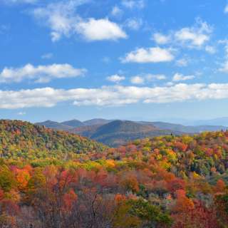 Asheville Fall Color