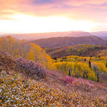Fall