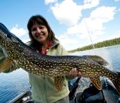 The One That Didn't Get Away, Northern Pike