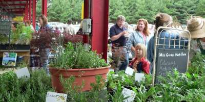 5 Asheville Food Festivals to Savor in May