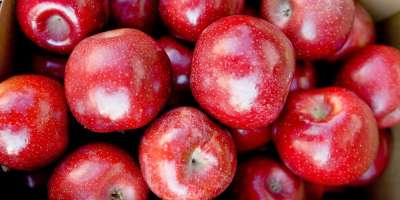 New Cideries Offer Sweet Taste of WNC + Recipe