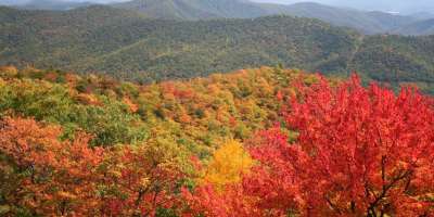 Unique Fall Adventures in Asheville