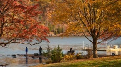 Fall Foliage