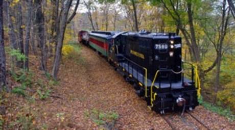 Fall Foliage