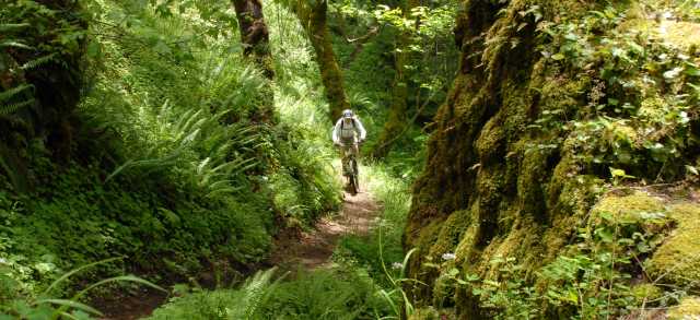 Eugene Cascades And Oregon Coast Visitor Information Travel Lane County 