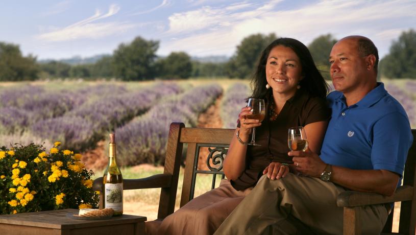 Lavender blooms in Fredericksburg during the annual festival in Texas 2025