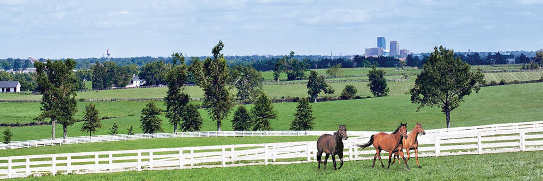 Sports Car Rental Lexington Ky Sports Car Rental Lexington Ky