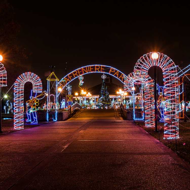 Holiday lights