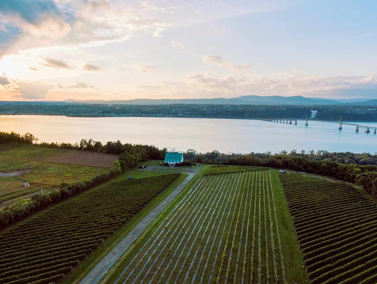 Vignoble StePétronille Wineries, Cideries and Distilleries Quebec City and Area Vignoble StePétronille Wineries, Cideries and Distilleries Quebec City and Area