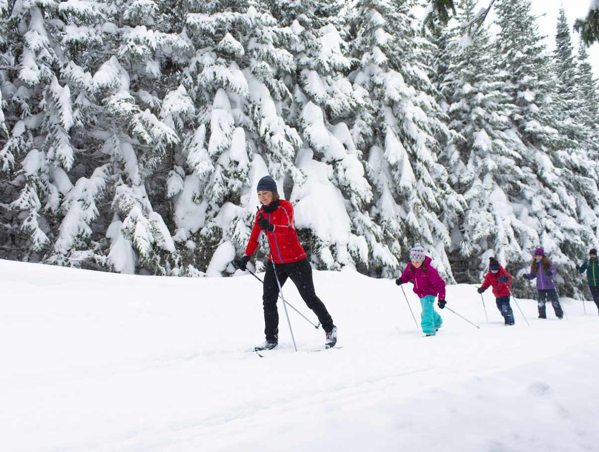 Réserve faunique des Laurentides CrossCountry Skiing Quebec City